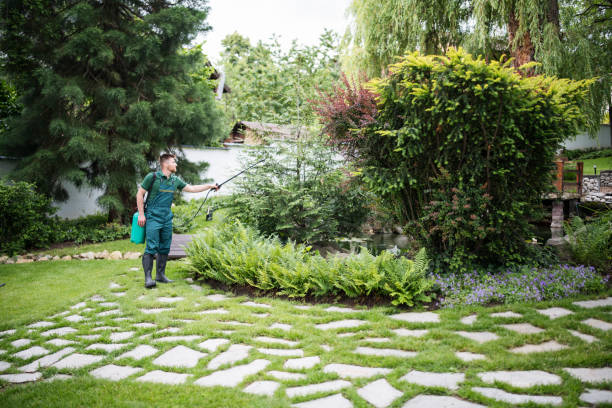 Best Pest Inspection Near Me  in Trenton, GA