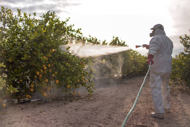 Reliable Trenton, GA Pest Control Solutions