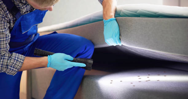 Best Best Pest Control Companies  in Trenton, GA