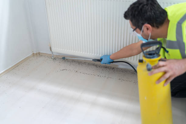 Flea Control Services in Trenton, GA