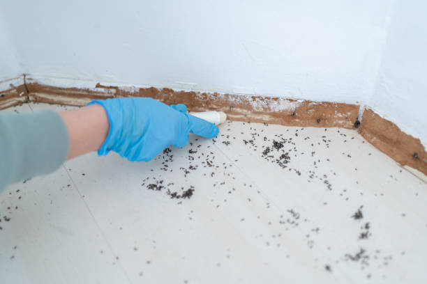 Best Wildlife Control Services  in Trenton, GA