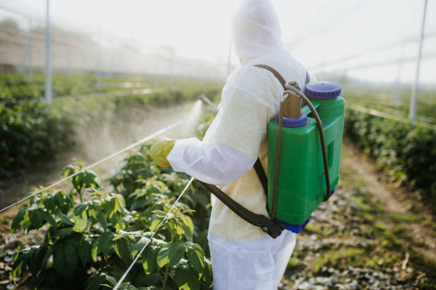 Pest Prevention Services in Trenton, GA